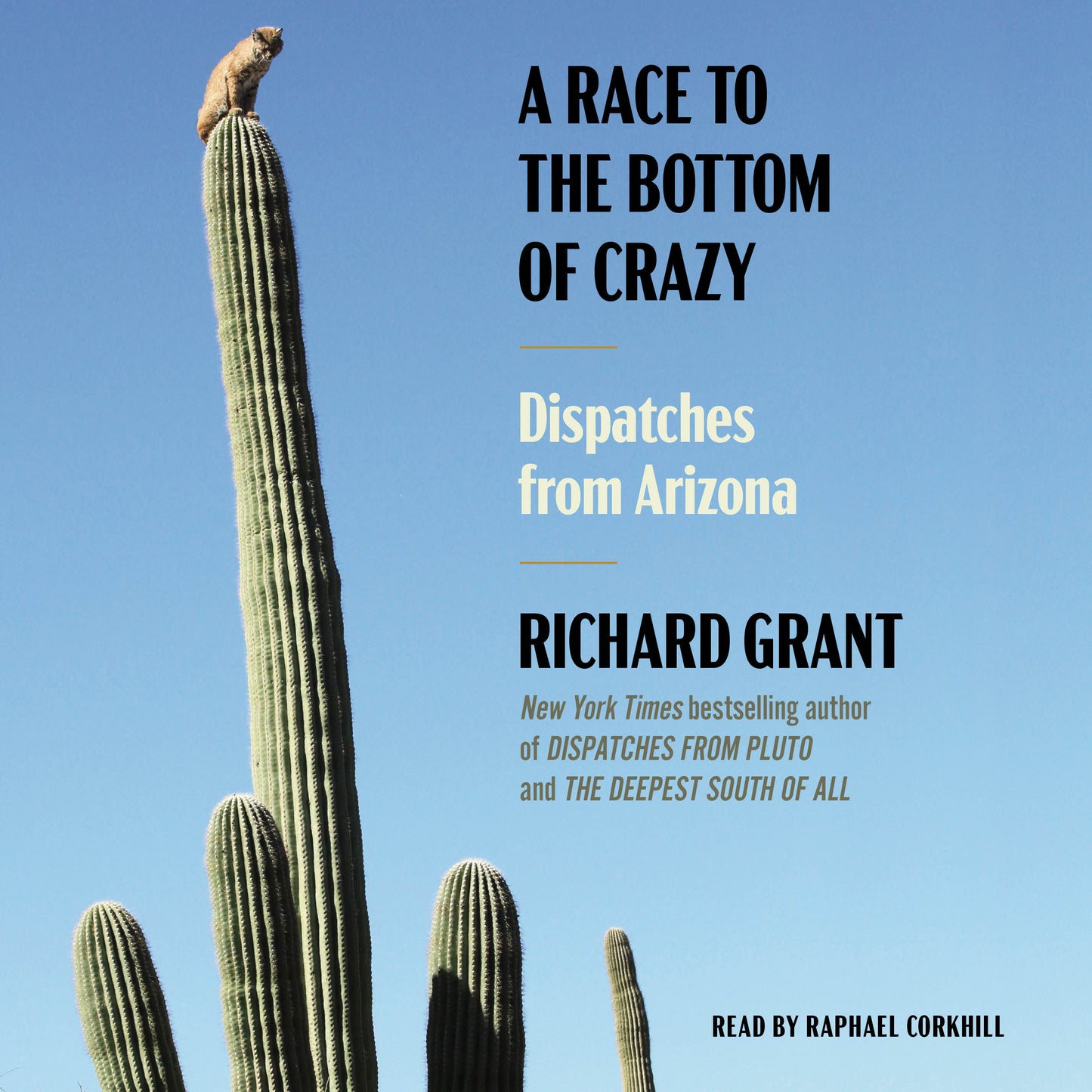 Race to the Bottom of Crazy: Dispatches from Arizona