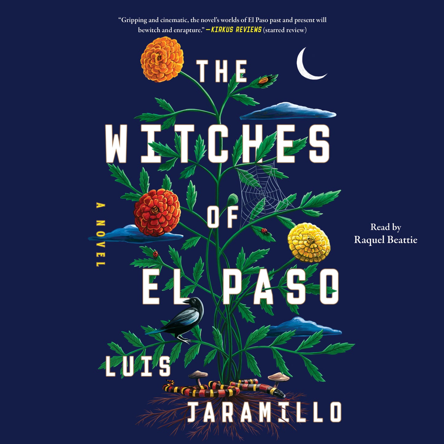 Witches of El Paso: A Novel