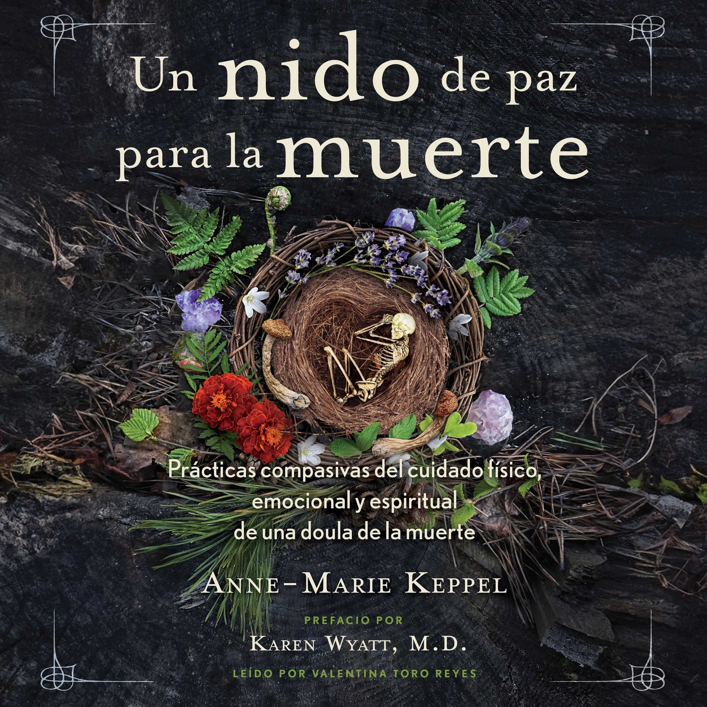 nido de paz para la muerte: Prácticas compasivas del cuidado físico, emocional y espiritual de una doula de la muerte