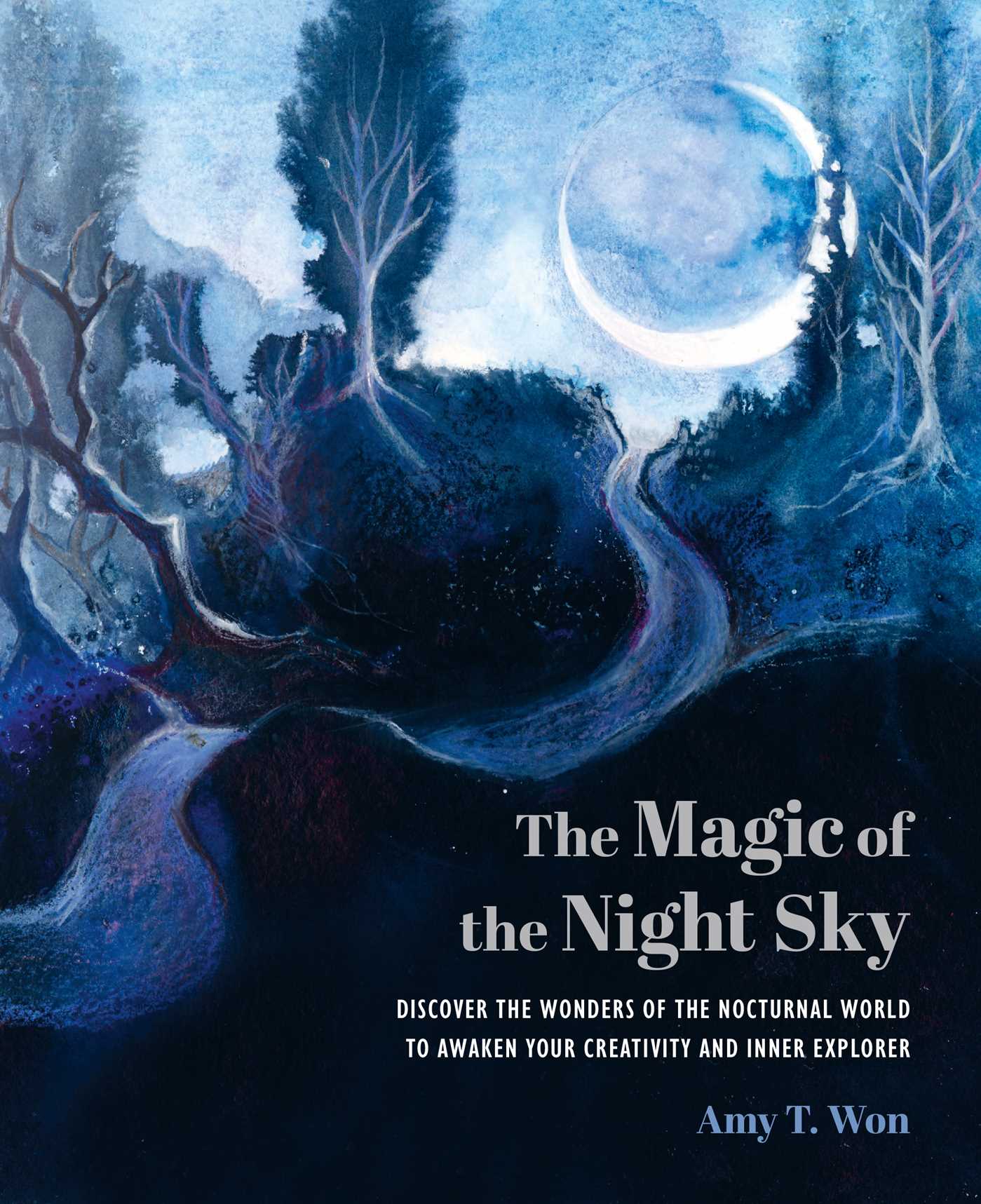 Magic of the Night Sky: Discover the wonders of the nocturnal world to awaken your creativity and inner explorer
