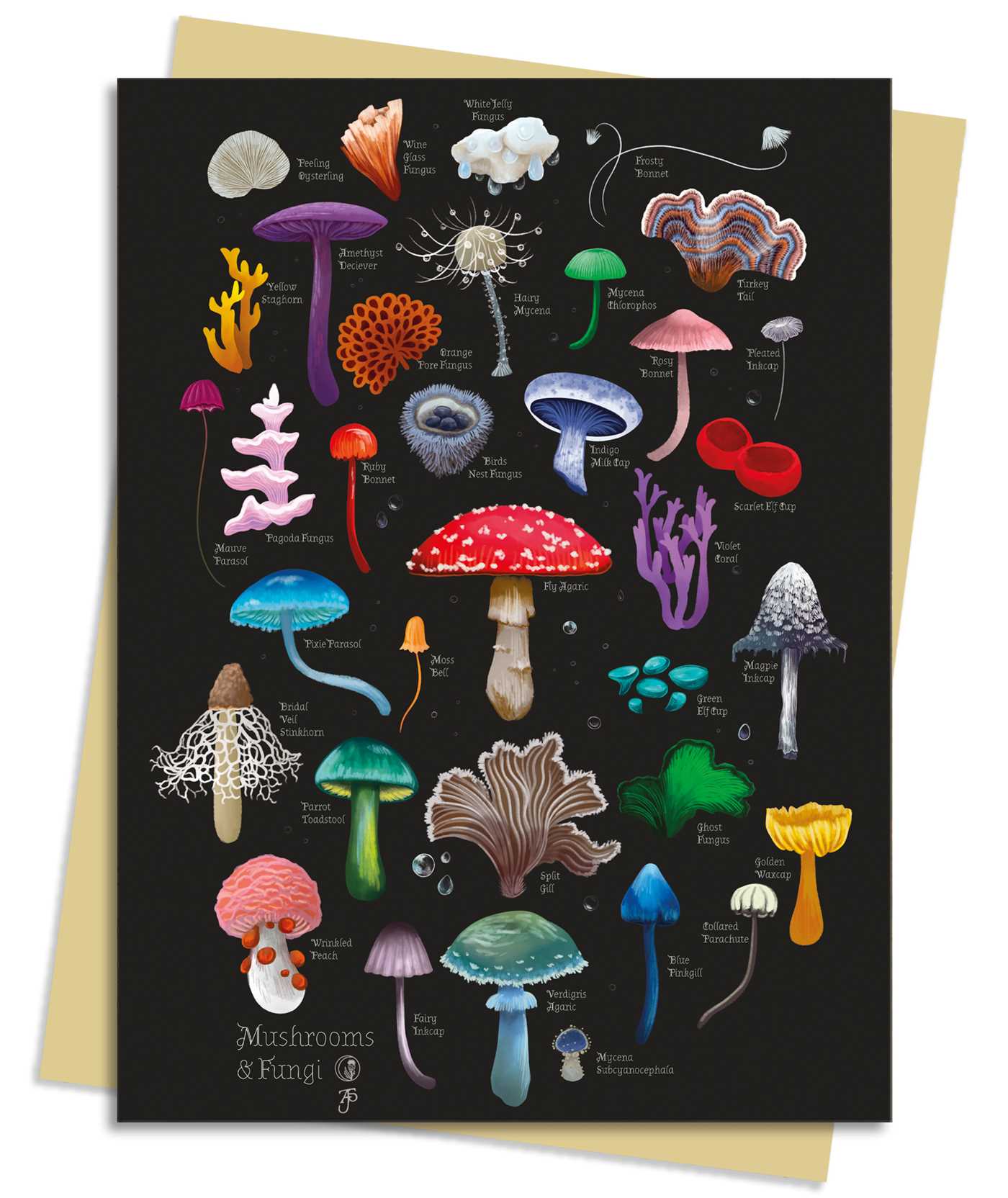 Anna Stead: Mushrooms & Fungi Greeting Card Pack