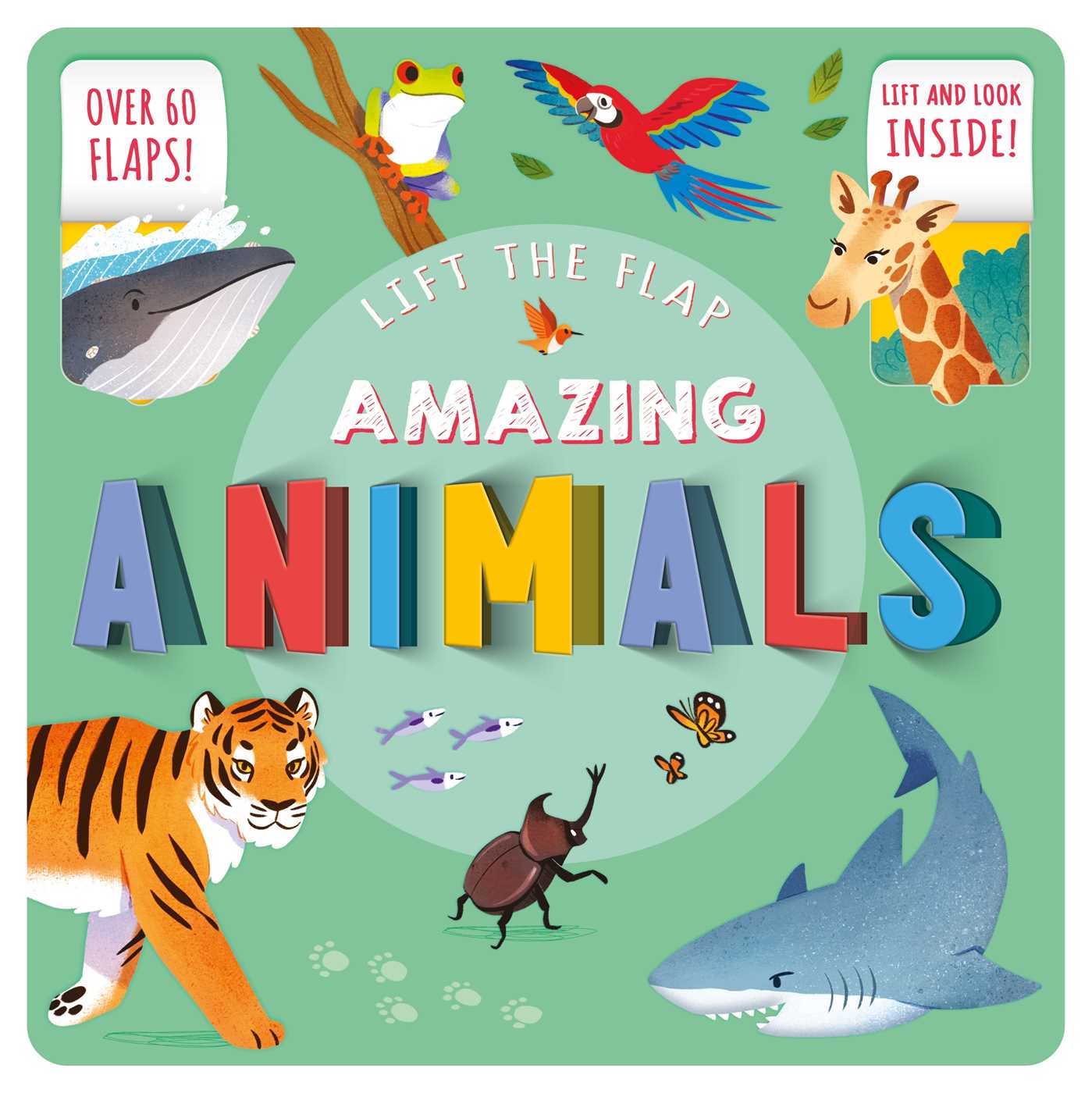 Amazing Animals