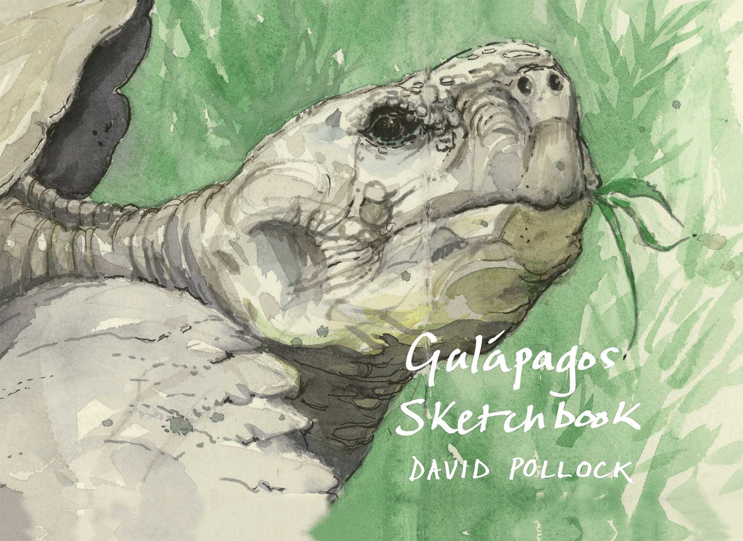 Galápagos Sketchbook