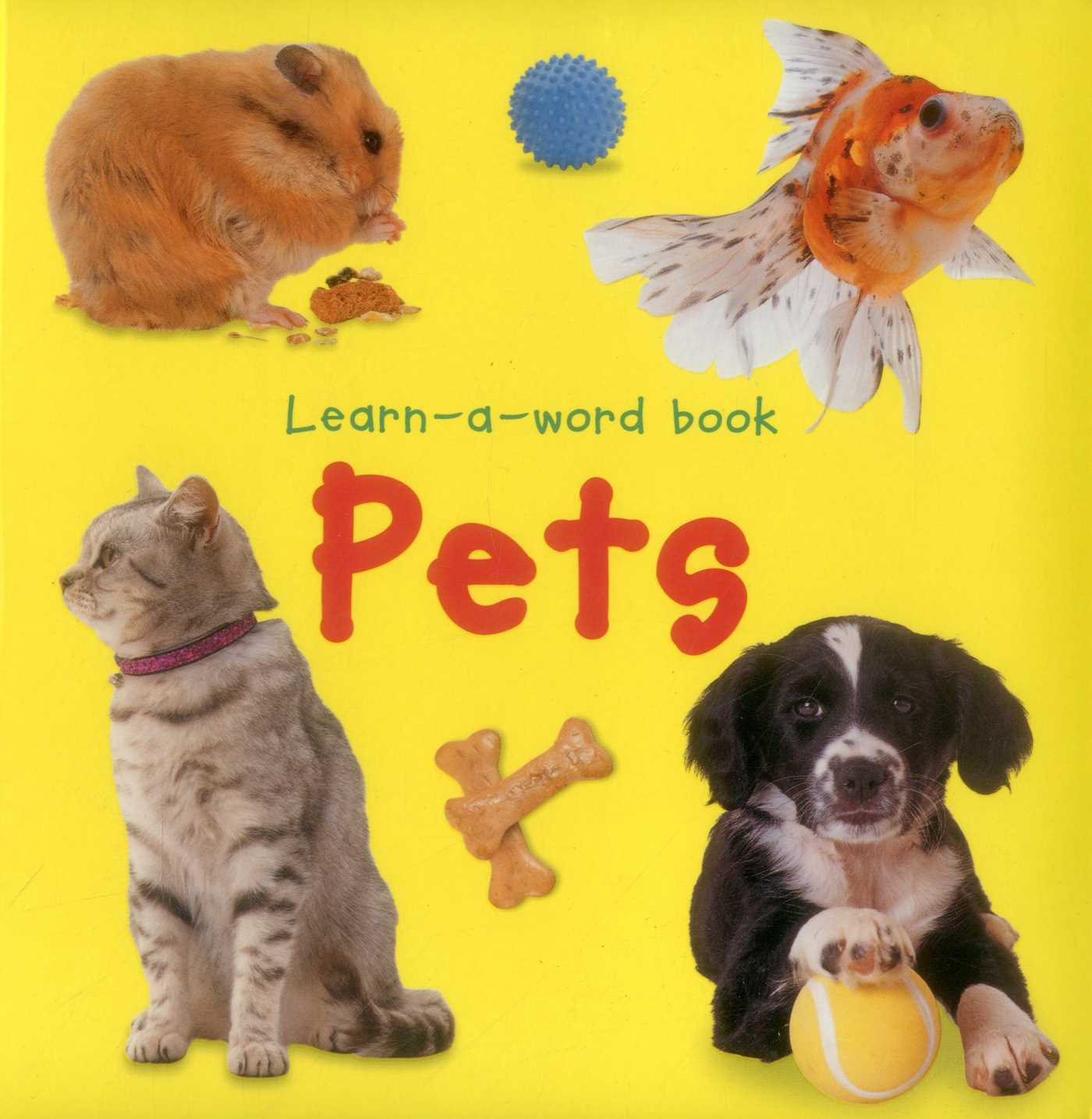 Learn-A-Word Picture Book
