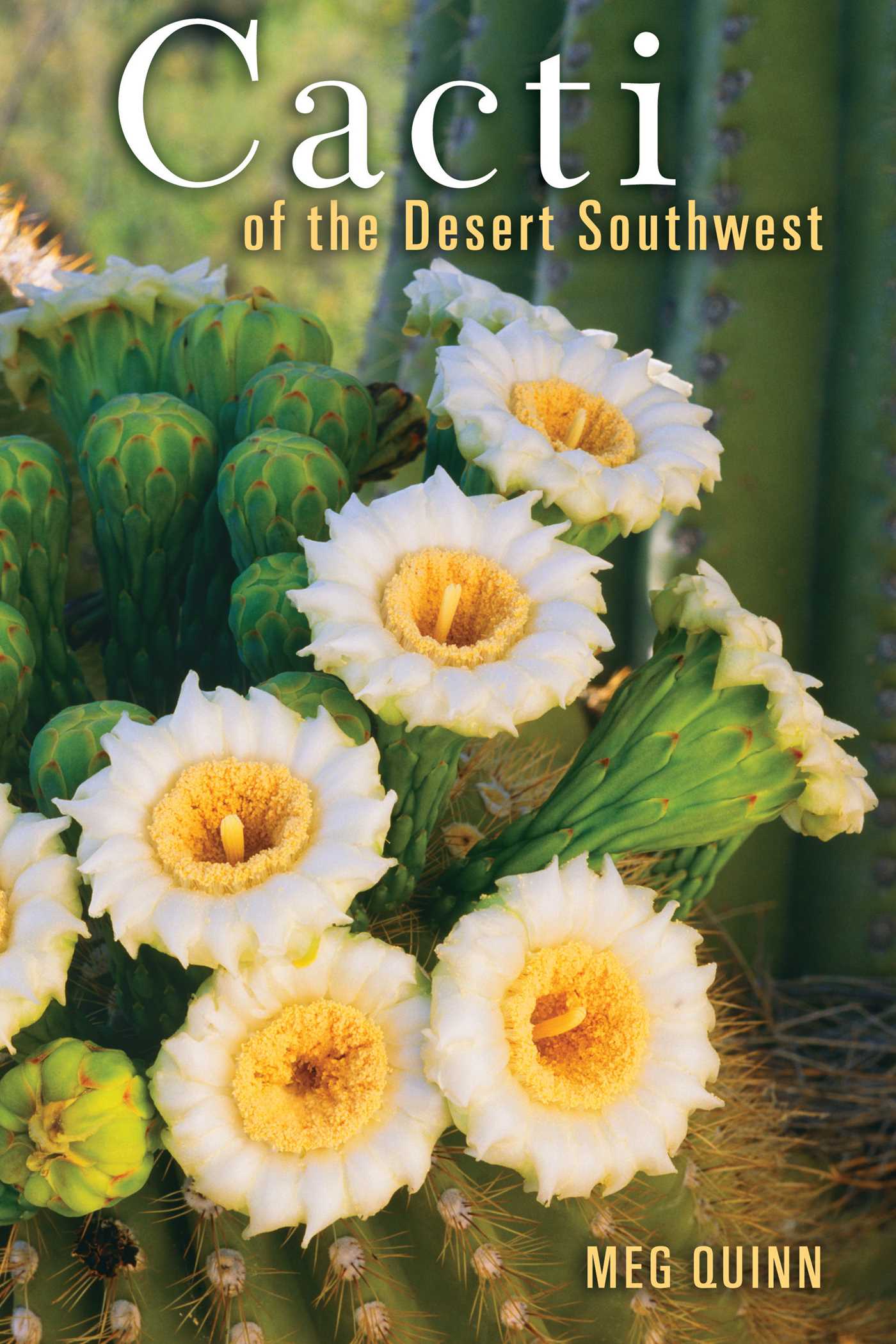 Cacti of the Desert SW