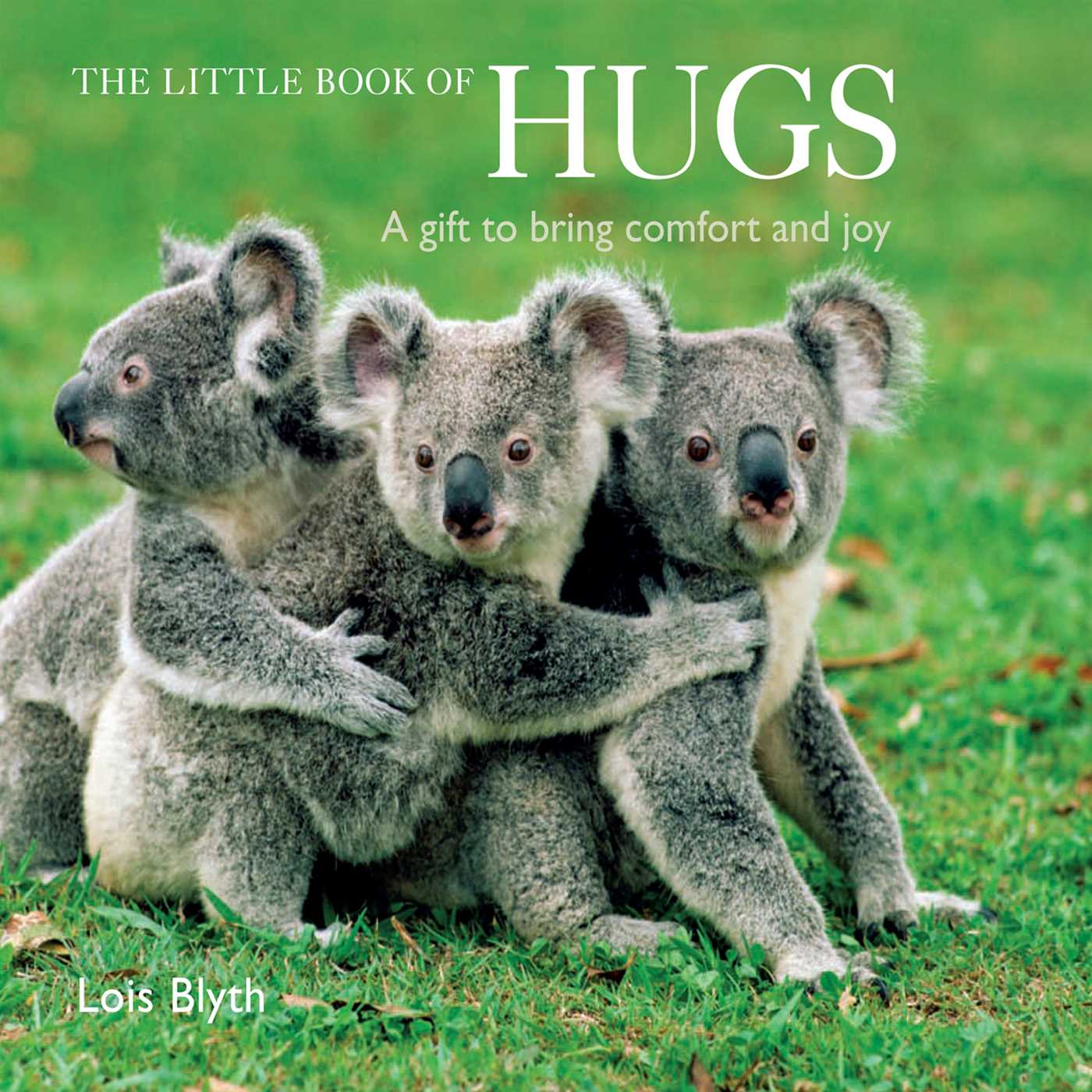 Little Book of Hugs: A gift to bring comfort and joy