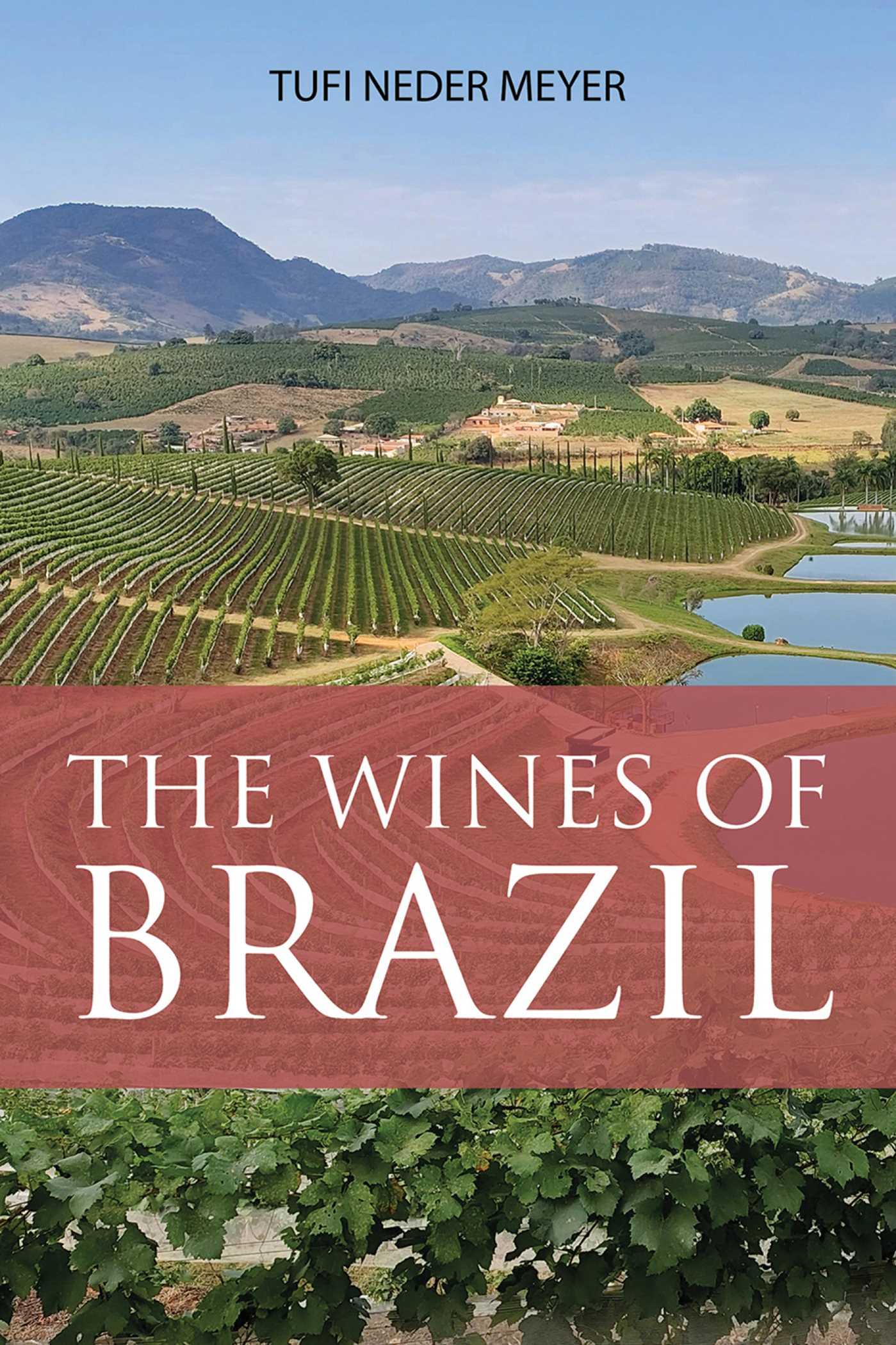 Wines of Brazil