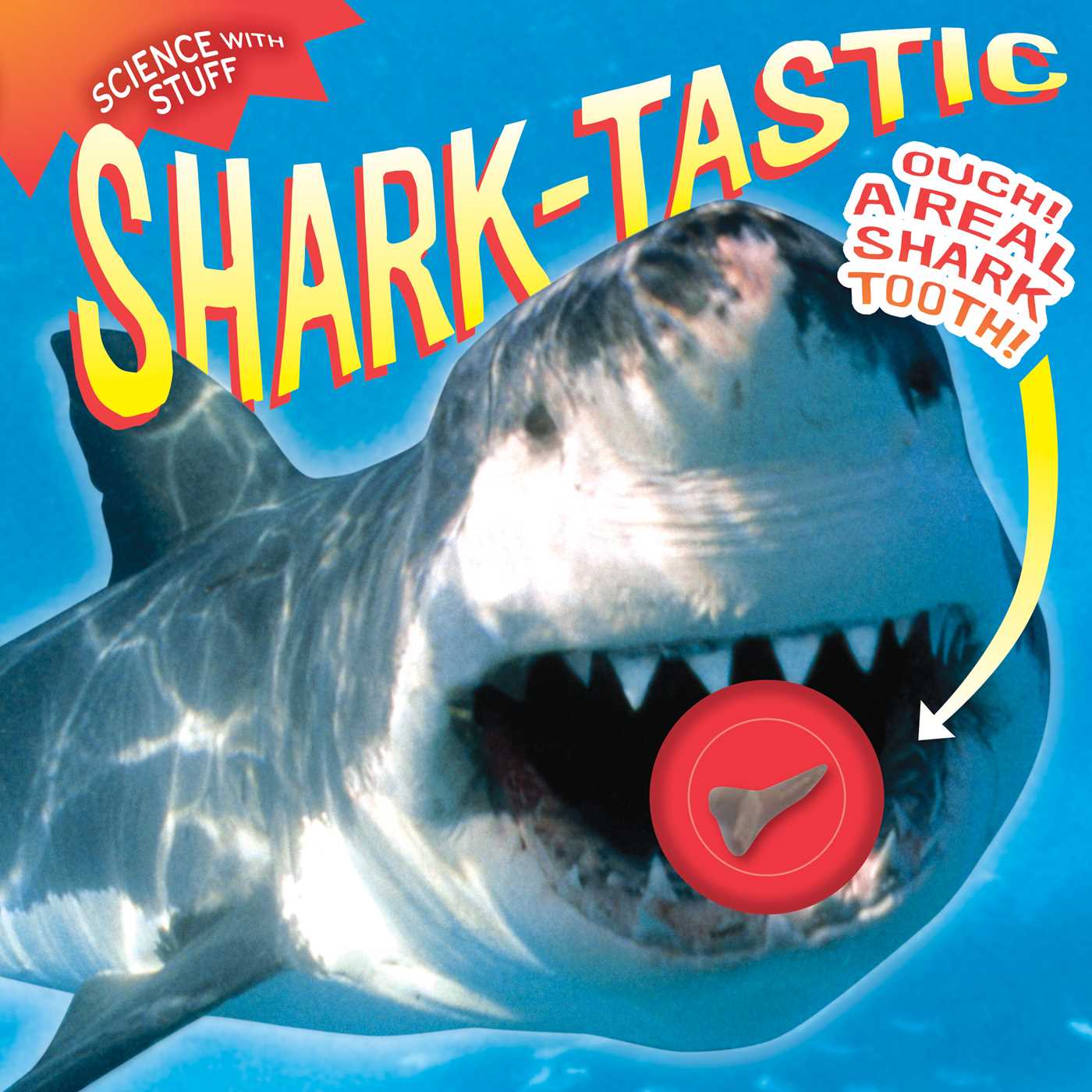 Shark-tastic!