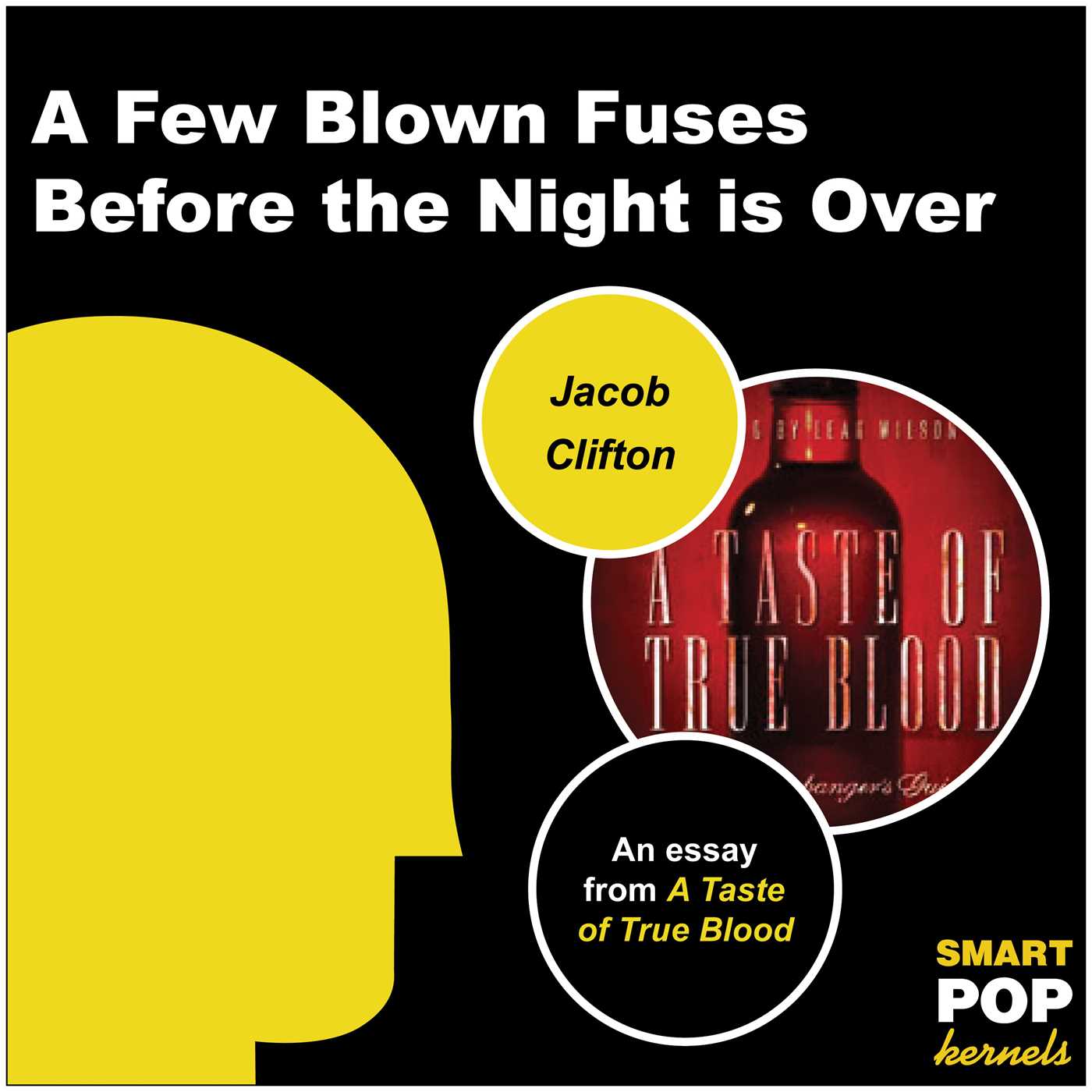 Few Blown Fuses Before the Night is Over: An Essay on True Blood