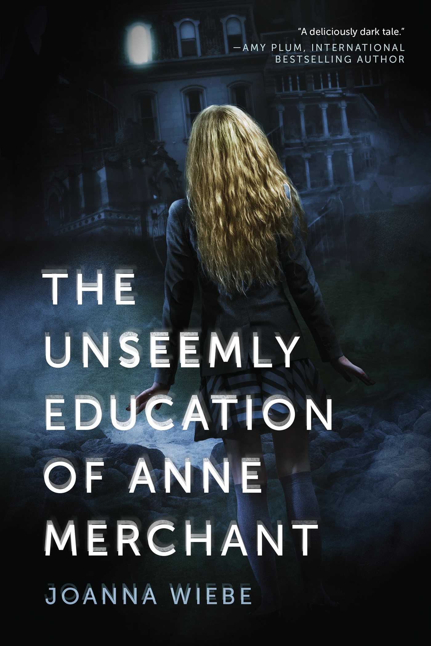 Unseemly Education of Anne Merchant: Book One of the V Trilogy