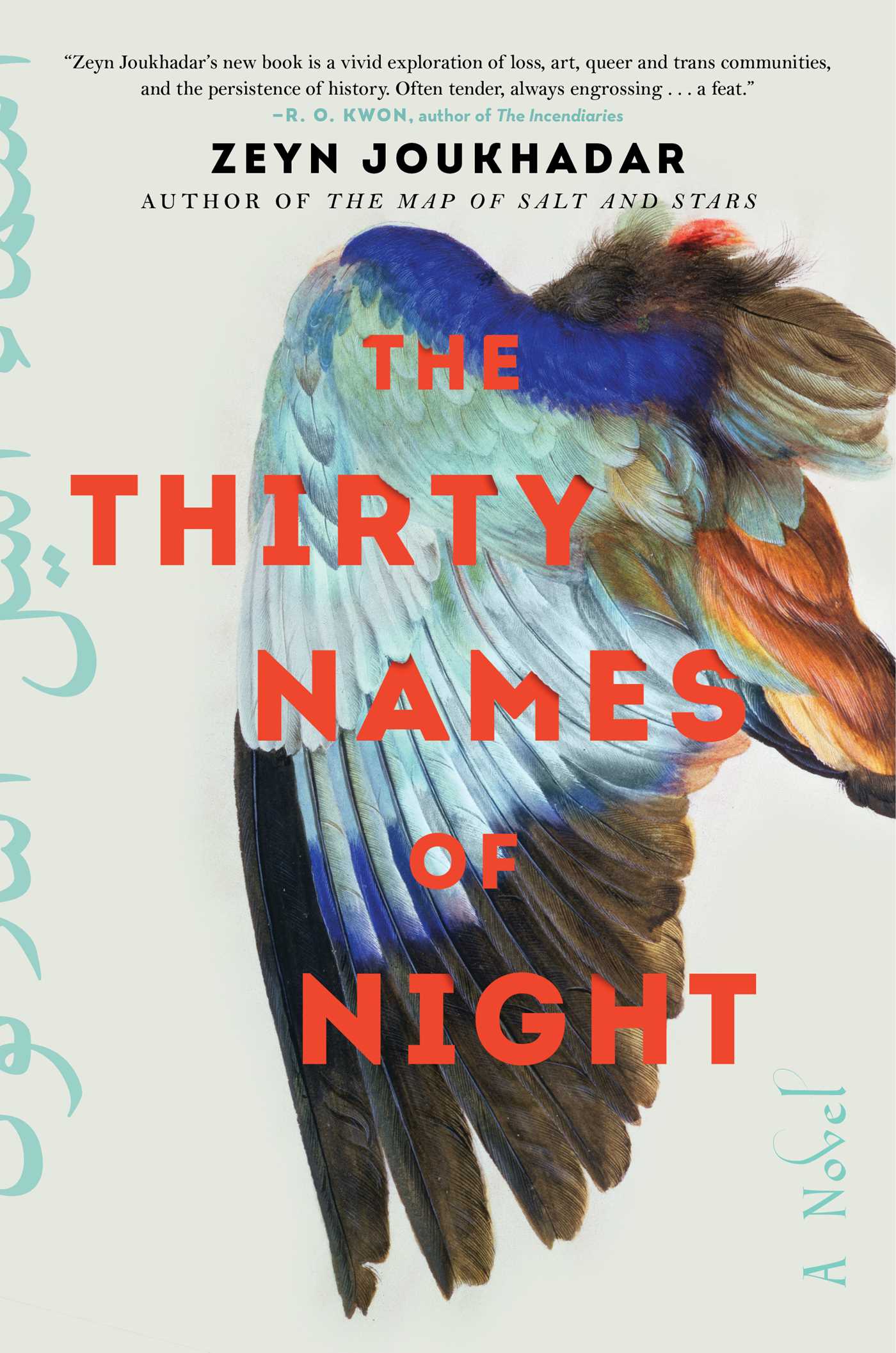 Thirty Names of Night: A Novel