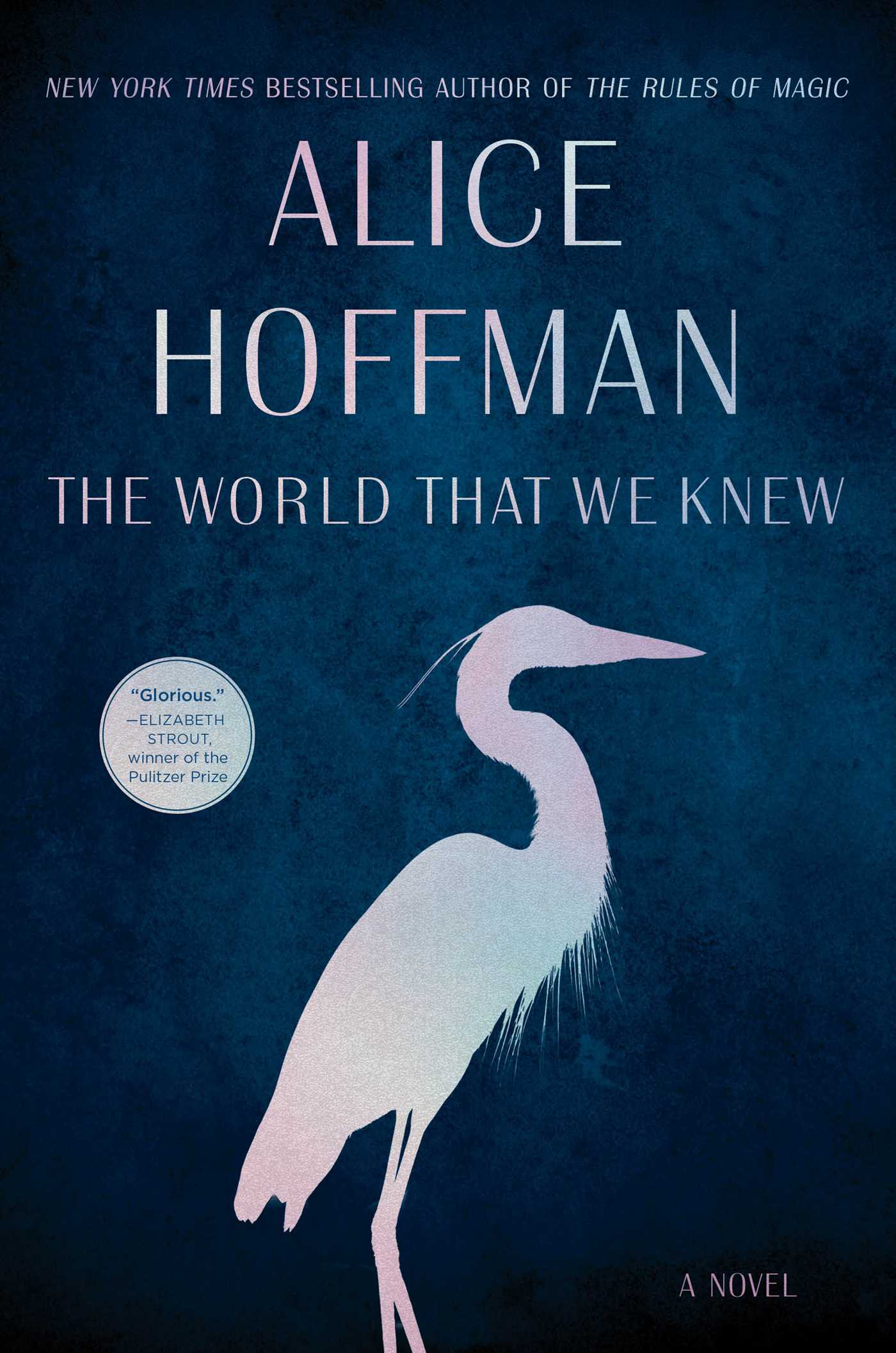 World That We Knew: A Novel