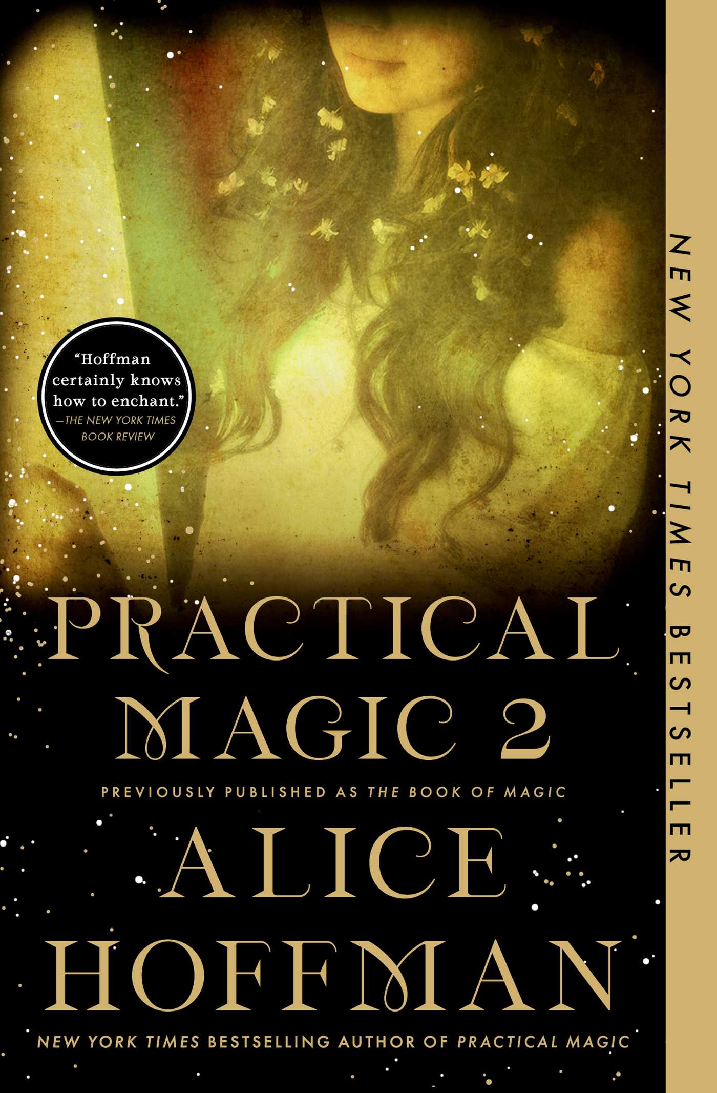 Book of Magic (Practical Magic 2): A Novel