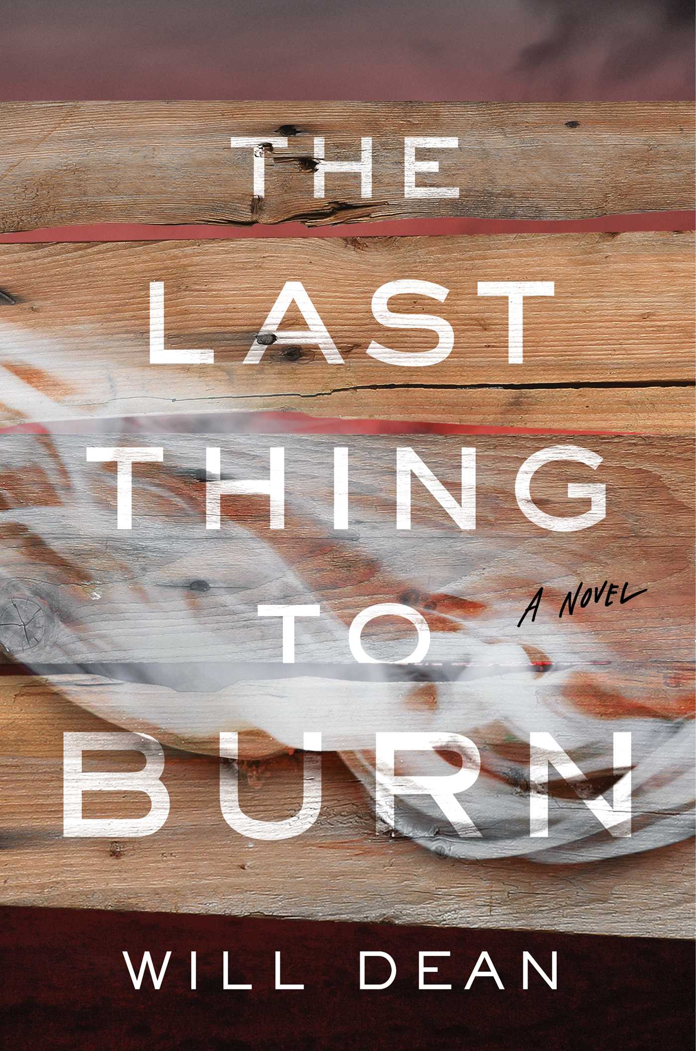 Last Thing to Burn: A Novel