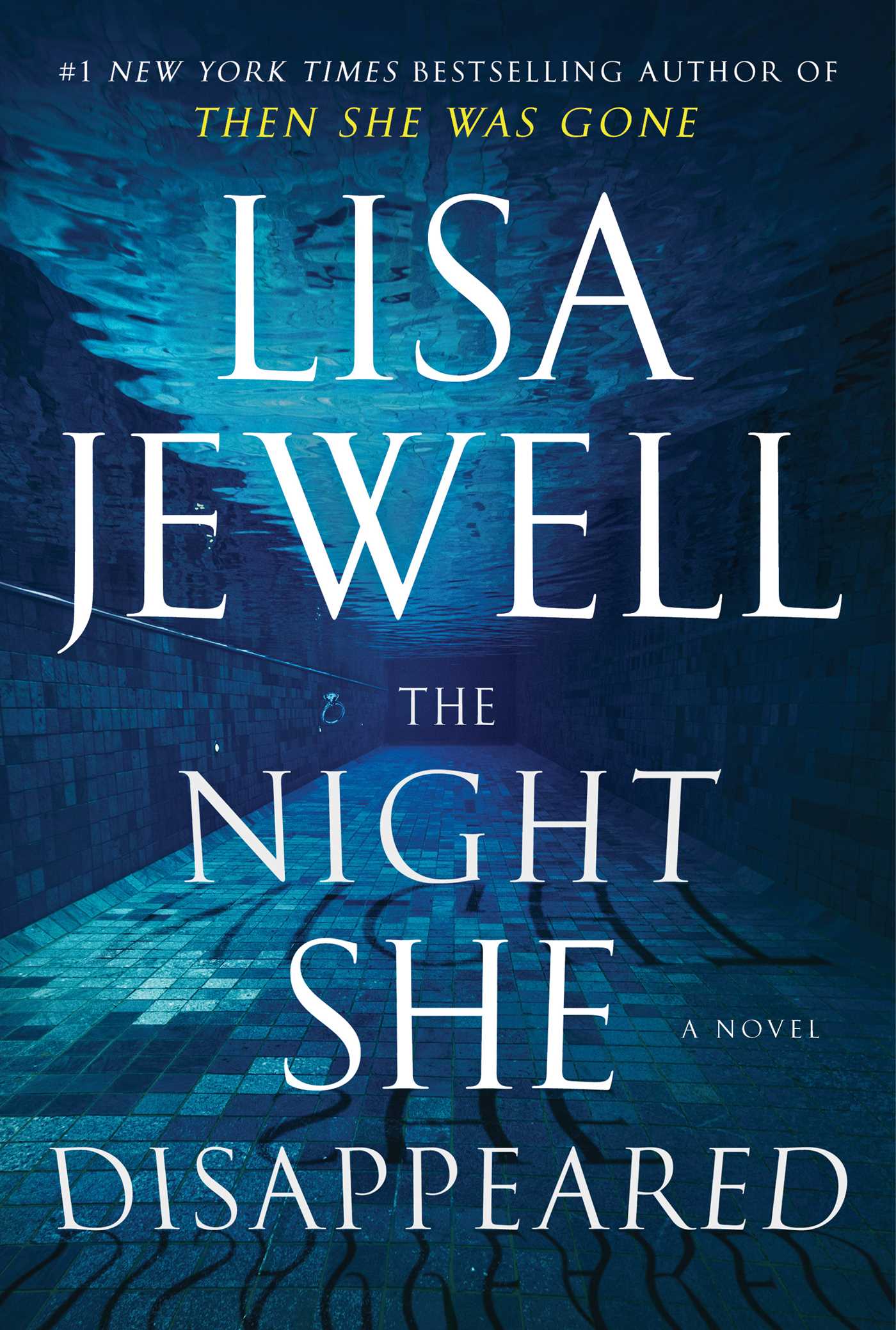 Night She Disappeared: A Novel
