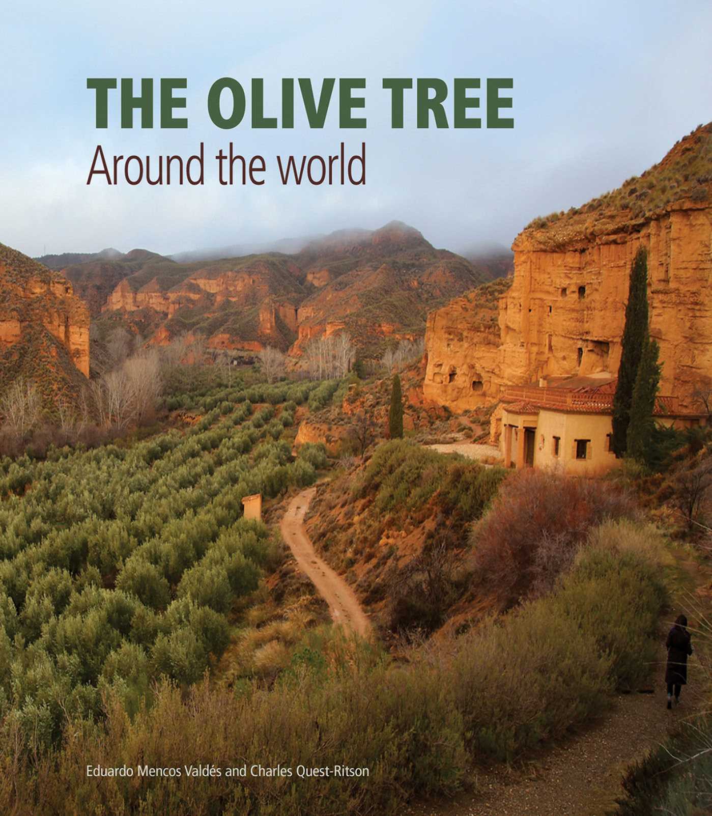 Olive Tree: Around the World