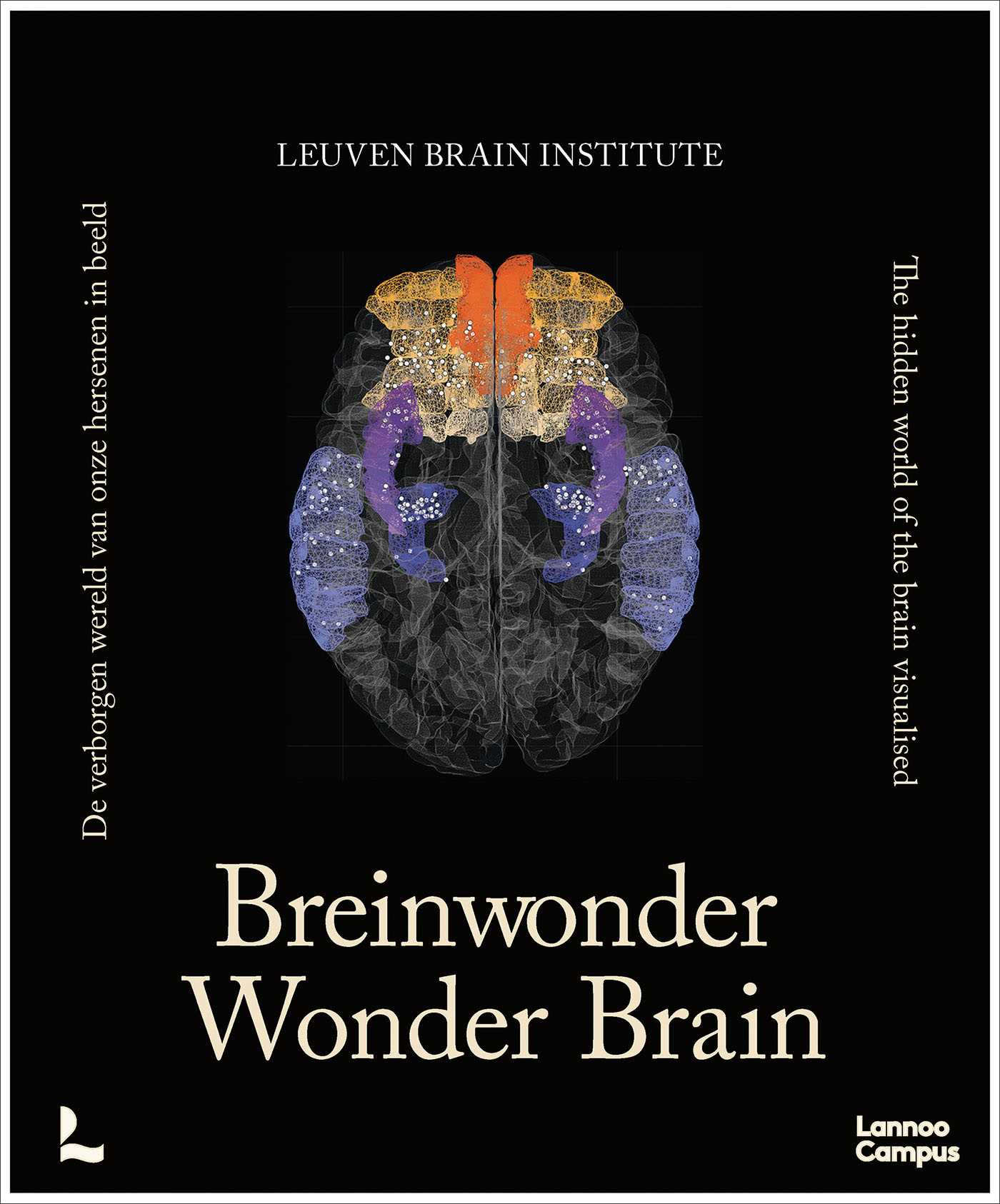 Wonder Brain