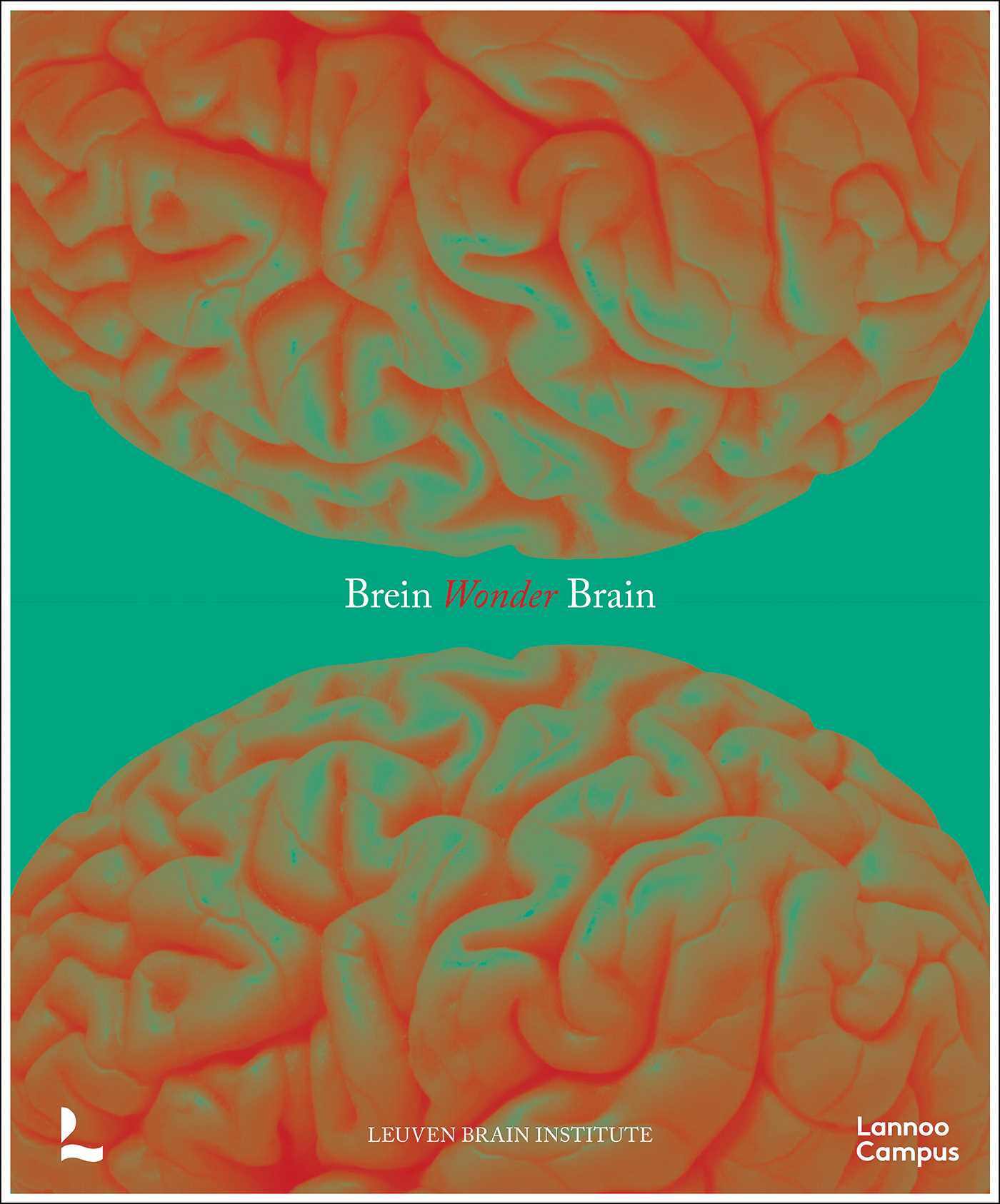 Wonder Brain