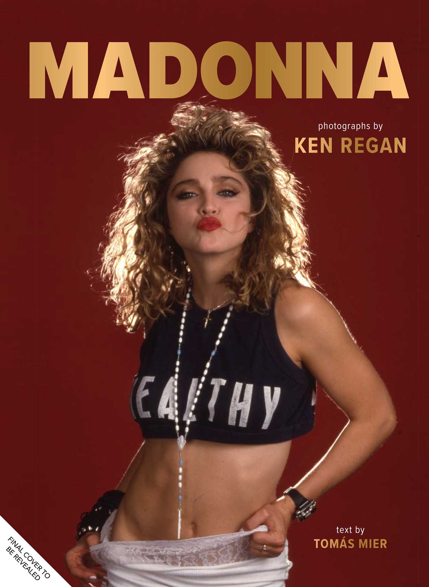 Madonna: Into the Groove