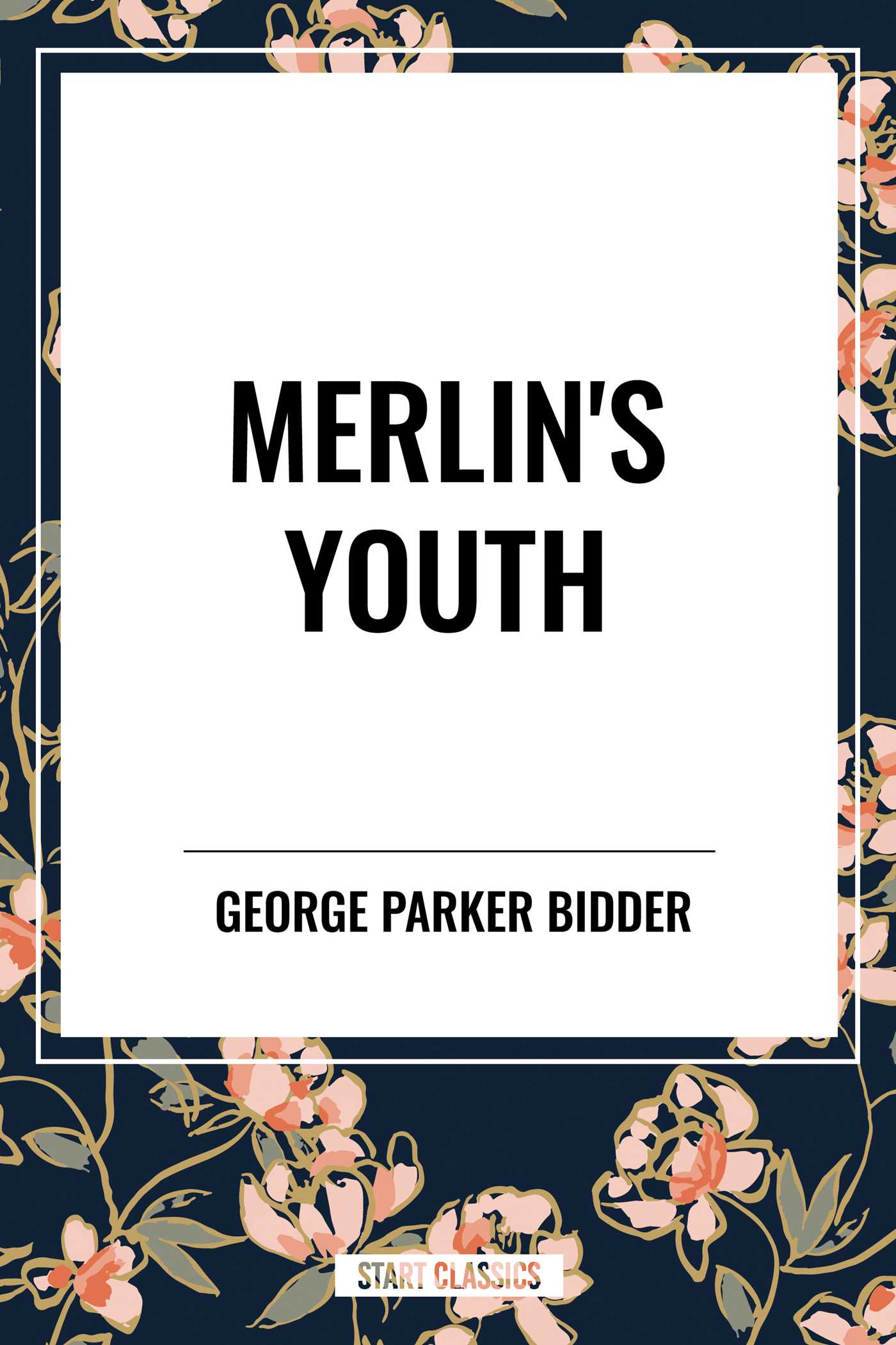 Merlin's Youth