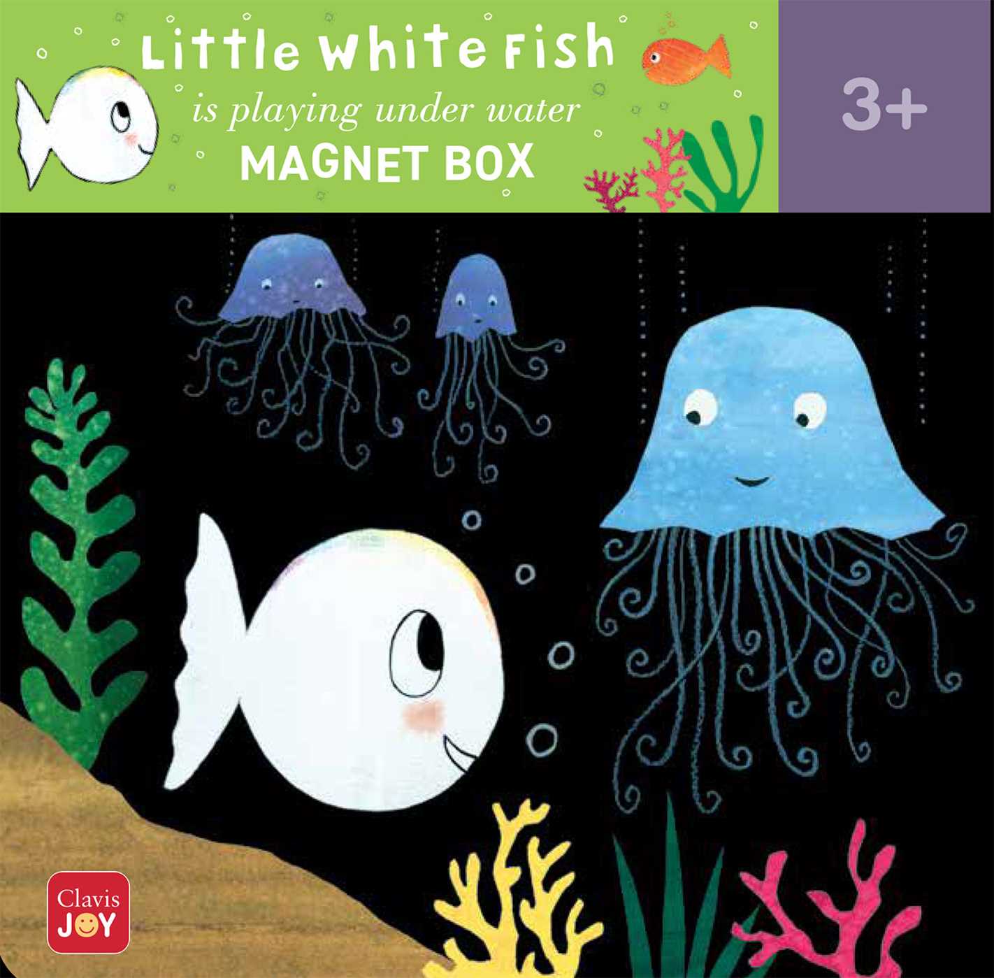 Magnet Box Little White Fish Is Playing Under Water