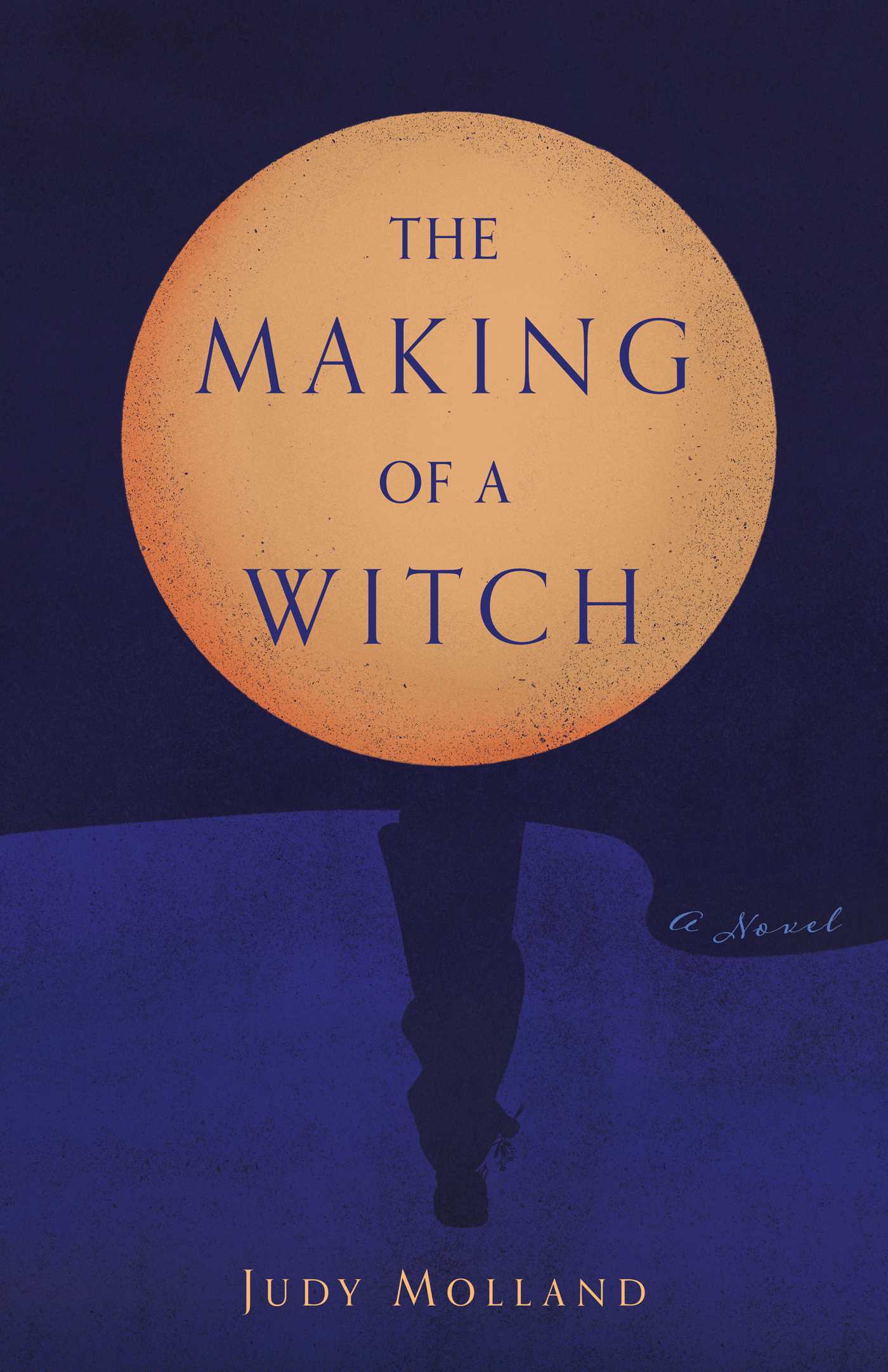 Making of a Witch: A Novel