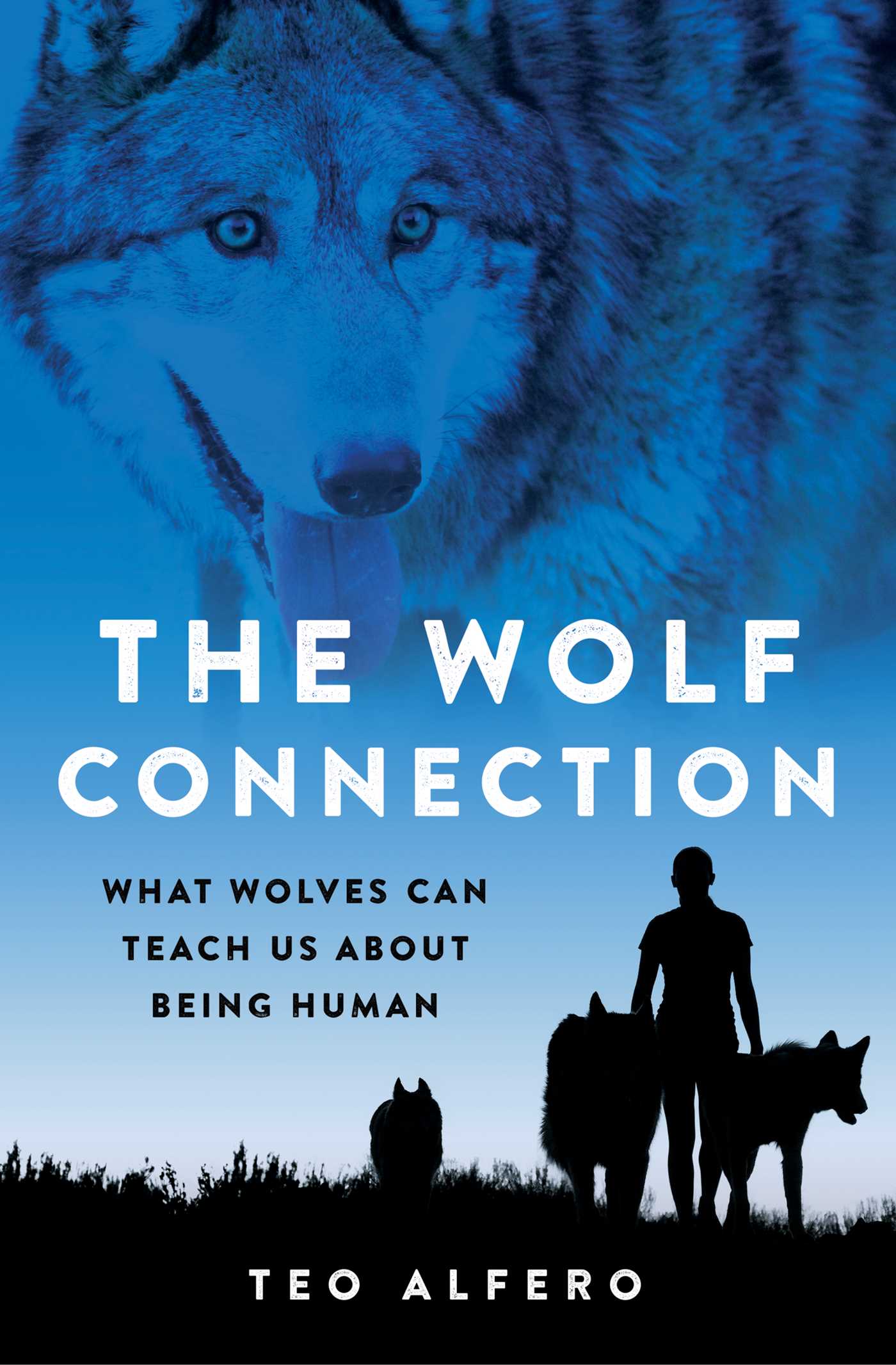 Wolf Connection: What Wolves Can Teach Us about Being Human
