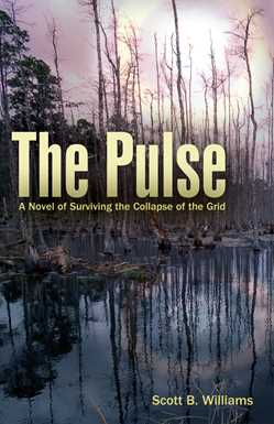 Pulse: A Novel of Surviving the Collapse of the Grid